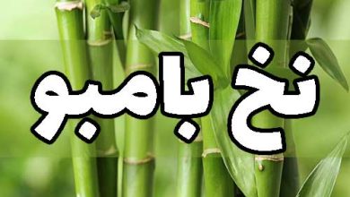نخ الیاف بامبو