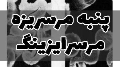 پنبه مرسریزه چیست
