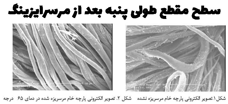 پنبه مرسریزه شده