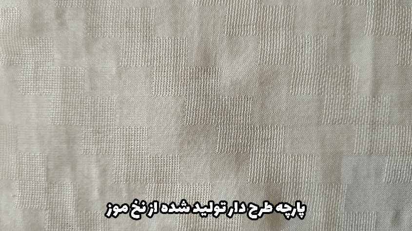 پارچه موز الیاف موز