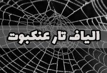 الیاف تار عنکبوت نخ