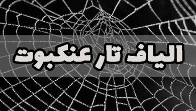 الیاف تار عنکبوت نخ