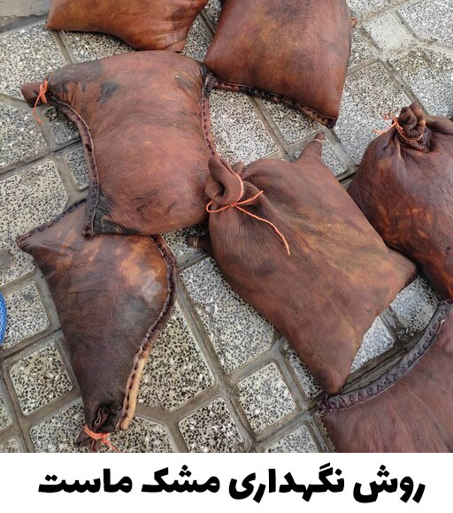 روش نگهداری مشک ماست