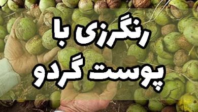 رنگرزی پشم با پوست گردو