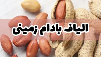 الیاف بادام زمینی نخ
