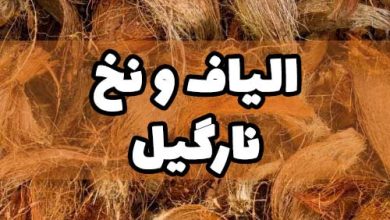 الیاف نارگیل