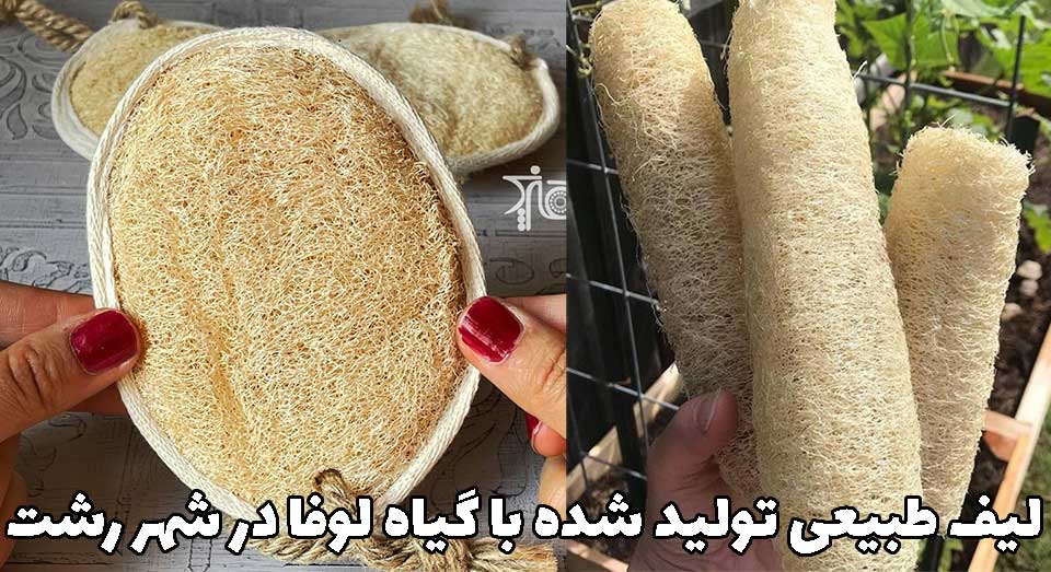 لیف طبیعی لوفا