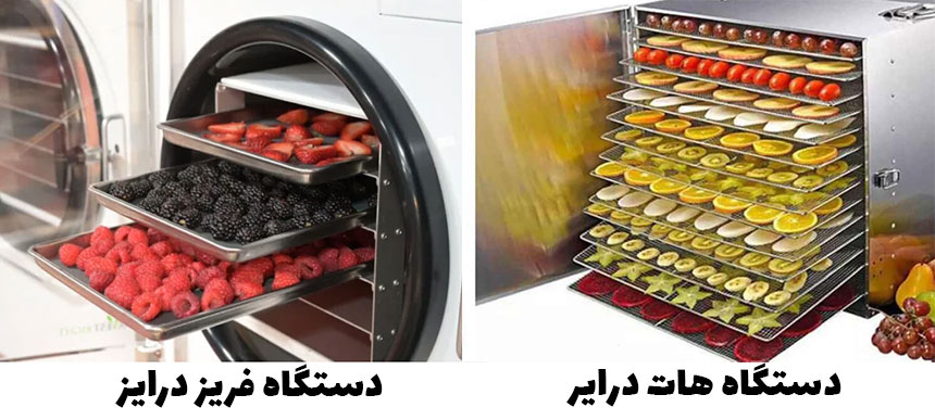 تولید میوه خشک چیپس میوه در منزل