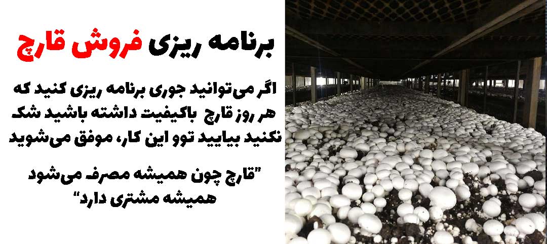 فروش و بازاریابی قارچ