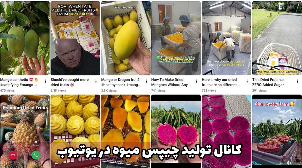 کانال تولید چیپس میوه در یوتیوب