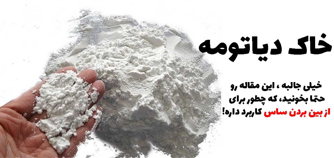 خرید خاک دیاتومه برای ساس
