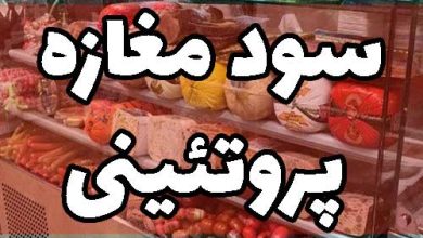 سود مغازه پروتئینی سوسیس و کالباس درآمد