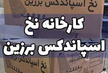 اسپاندکس برزین