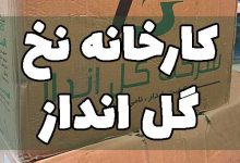 نخ پنبه و اسپان گل انداز